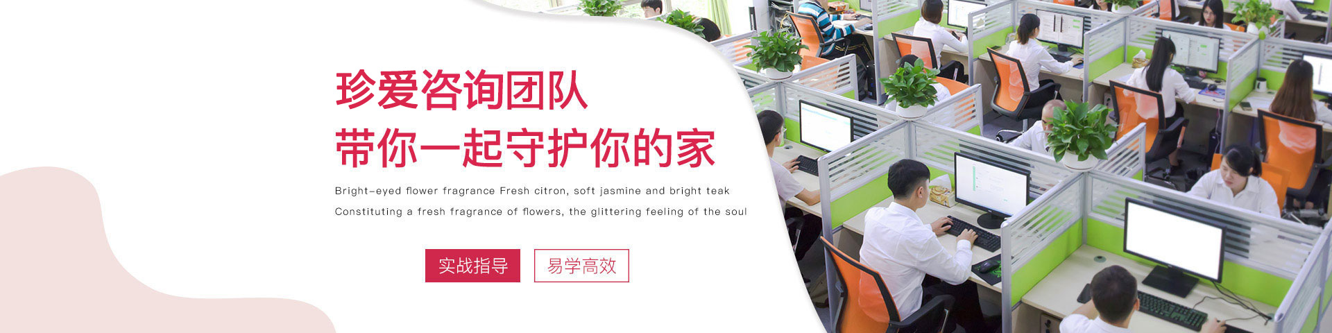 珍爱咨询